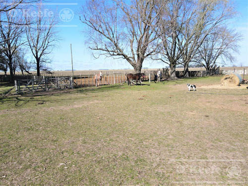 Imagen 21 de 28 de Campo En Venta 133 Has En Magdalena - Mixto.