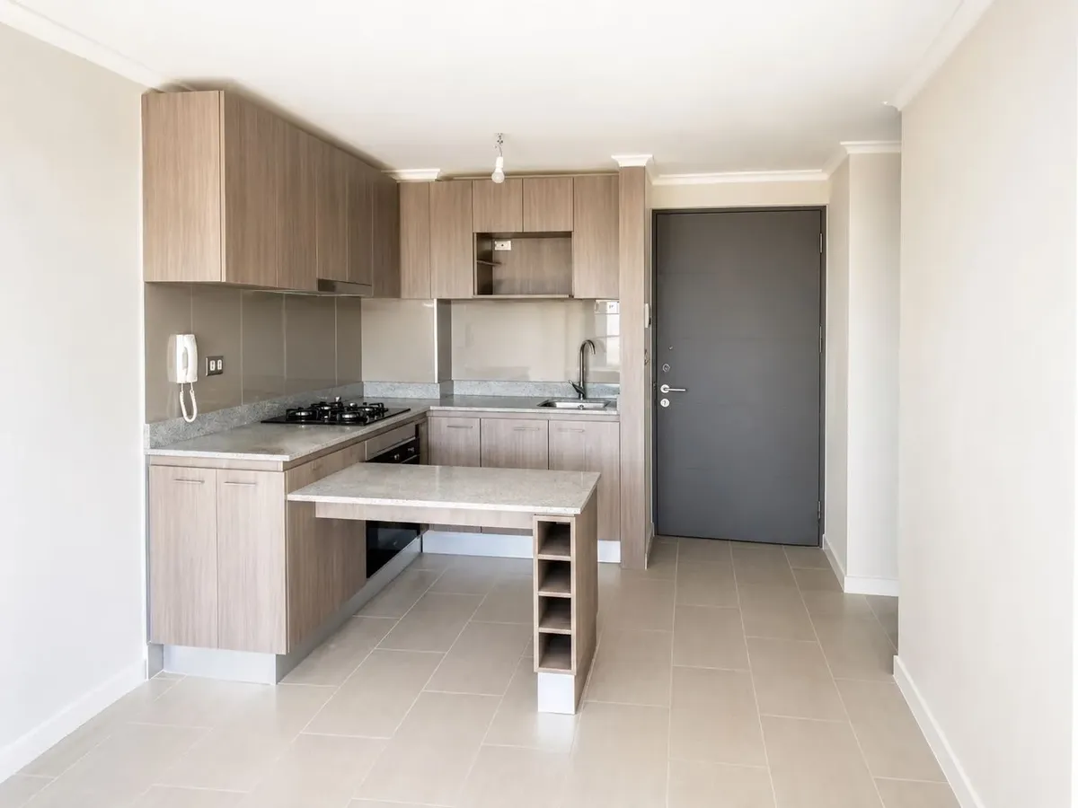 Imagen 1 de 17 de Seminuevo Depto 2 Dorm 1 Baño, Barrio Yungay (171834)