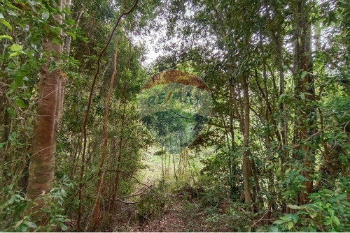 Gran Terreno 5.5 Ha Cercano Al Pueblo De Mafil