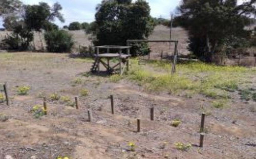 Industrial En Venta En Puchuncaví