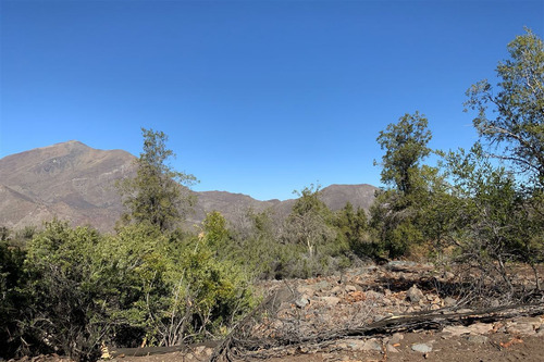 Parcela En Venta En San Francisco De Los Andes