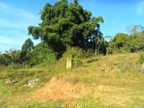 Imagem 11 de 11 de Terreno Residencial À Venda, Cocuera, Mogi Das Cruzes. - Te0006 - 33283274
