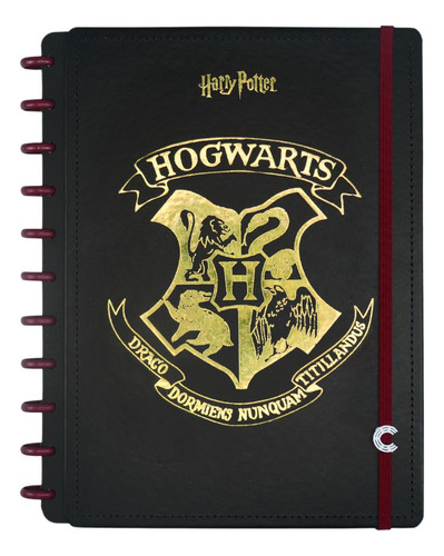 Caderno Inteligente Harry Potter Ci Tamanho Grande 80 Folhas