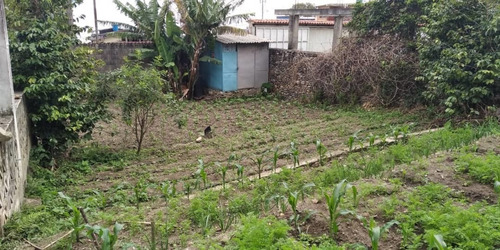 Imagen 8 de 9 de Casa Pueblo De Cubiro Wilfredomedina