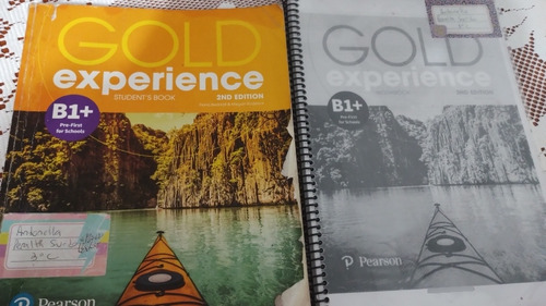 Libro De Inglés Gold Experience B1+, Book + Activity