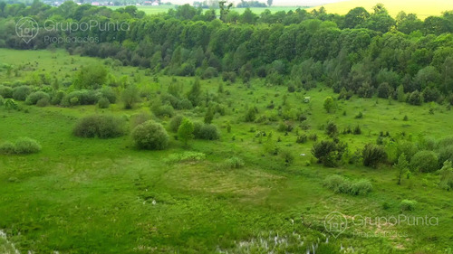 Campo En Arrendamiento - Cerro Largo