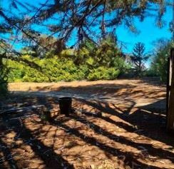 Venta Parcela Cañete 20000 Mt Sin Comisión