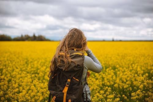 Bolso Grande Para Viajar Alps