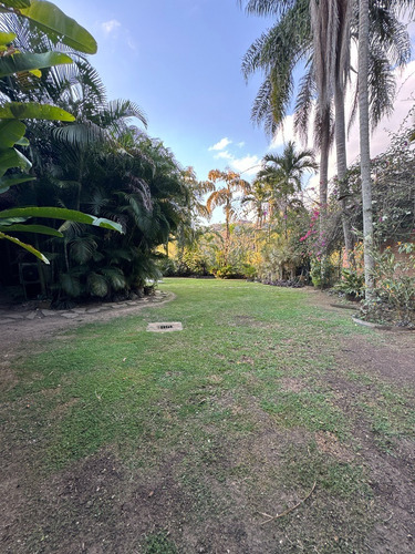 Pb En Alquiler 600 M2 Colinas De Tamanaco
