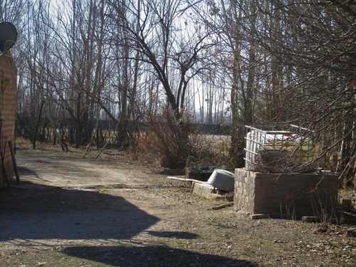 Imagen 7 de 9 de Venta Finca En El Cepillo San Carlos, Valle De Uco