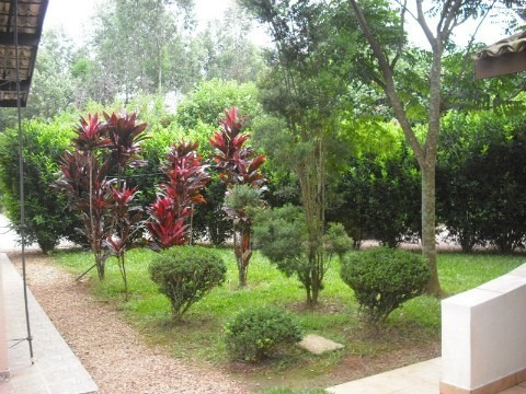Rural - Venda - Santa Gertrudes - Cod. 81 - V81