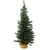 Arbol Pino Econom.1.20mts