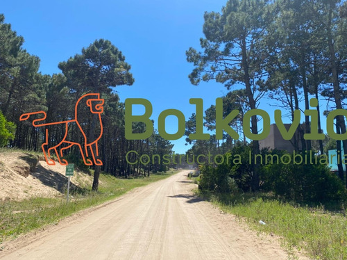 Imagen 4 de 10 de Lote En Venta Pinamar