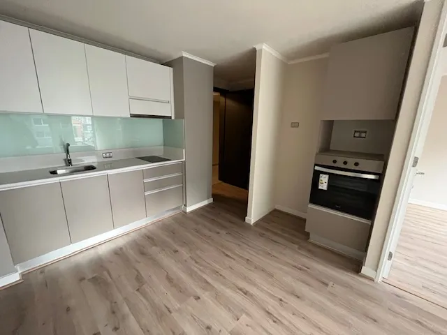 Imagen 2 de 19 de Departamento 1 Dormitorio 1 Baño 1e Metro Parque Almagro