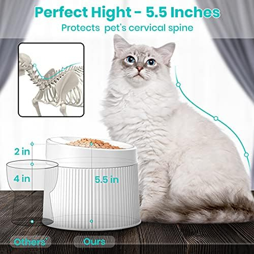 Ipettie Tazón Elevado Para Comida Para Gatos Plato Para Gato