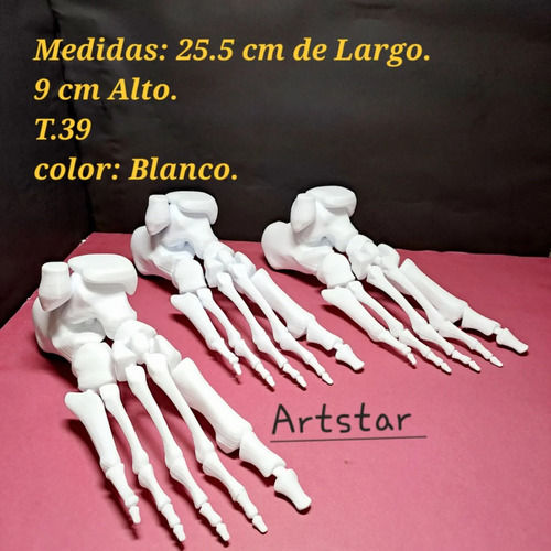 Pie Humano Huesos Impreso En 3d Artstar