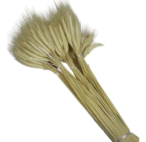 comprar 100 Hastes Trigo Seco Para Decoração Convites Arranjos