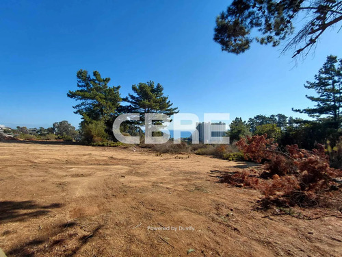 Terreno Desarrollo Departamentos En Algarrobo