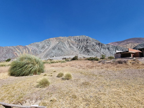 Venta Terreno En Purmamarca Sobre Ruta 5.387,54m²