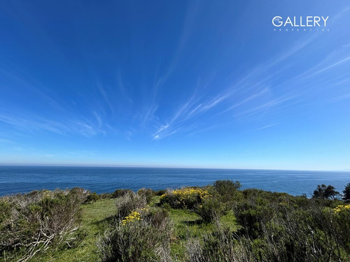 Vista Panorámica Al Mar, Zapallar Norte