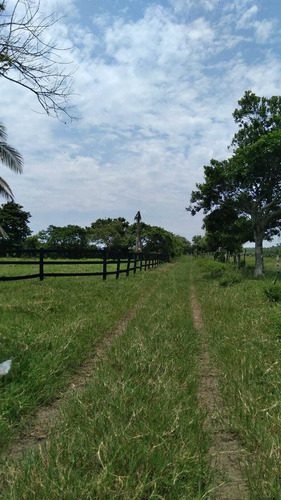 Venta De Terreno 1 H En Playa Zapote Ver. Para Inversionistas