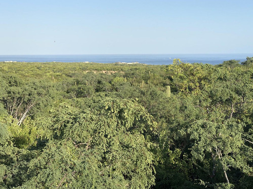 Zacaton Playa Tortuga, Zacaton Developer Land