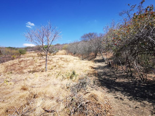 Imagen 1 de 10 de Terreno Industrial En Venta Plan De Mulumi