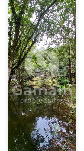 Terreno En Venta En El Texme Con Centro Ecoturistico Operativo