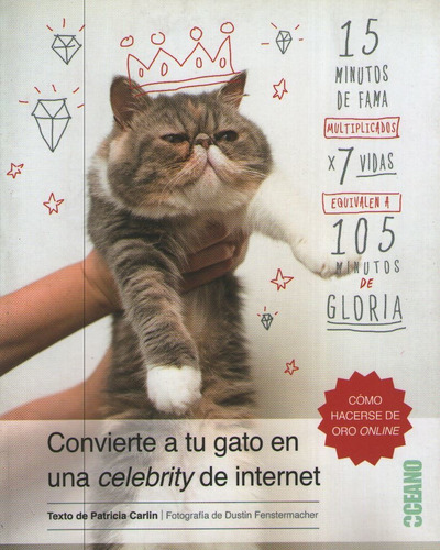 Convierte A Tu Gato En Una Celebrity De Internet, De Carlin, Patricia. Editorial Oceano, Tapa Blanda En Español, 2015