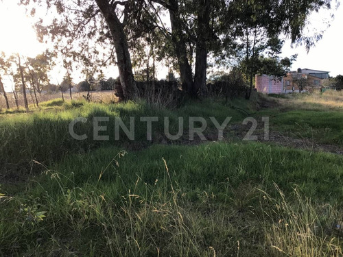Terreno En Venta En Amealco, Querétaro
