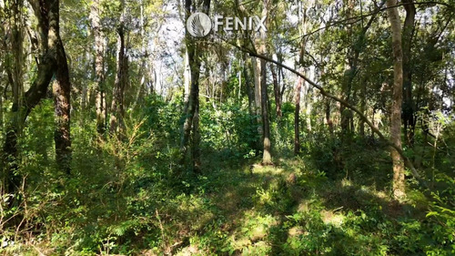 Tf704 - Terreno En Venta Z/ Garupá