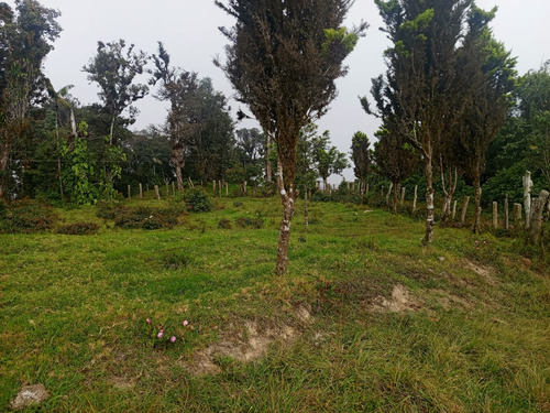 Finca En Venta Aldea La Montaña-lobatera/im