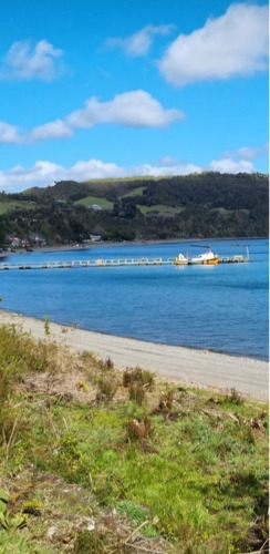 Vende Hermoso Predio De 7,38 Hás En Isla Tranqui, Chiloé!
