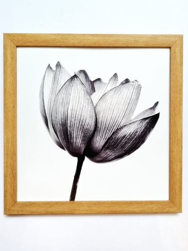 Imagen 2 de 2 de Cuadros Cuadrados Con Fotos Personalizadas - 10x10 Cm