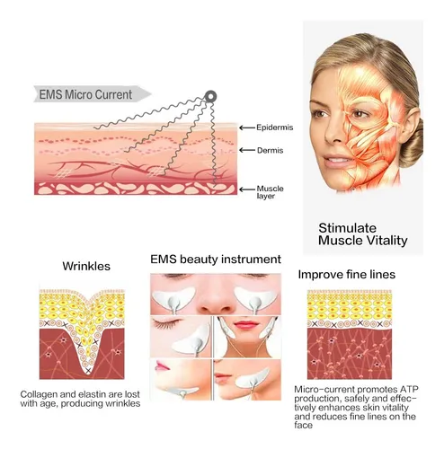 Masajeador Facial Estimulador Muscular