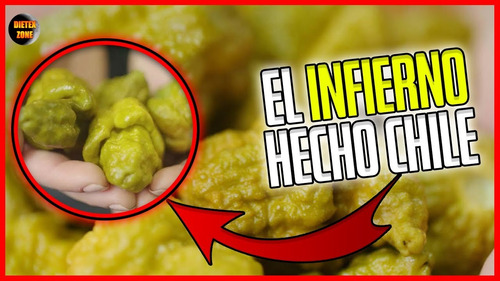 10 Semillas De Aji Repper X El Mas Picante Del Mundo !!