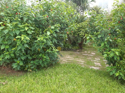 Swiss Park, 461 M² Por R$ 1.300.000 - Swiss Park - São Bernardo Do Campo/sp - Te0315