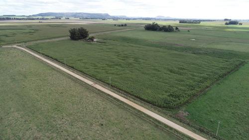 Imagen 16 de 30 de Quinta De 8 Has. A 1.800 Mts Ruta 226 - 100 % Agrícola