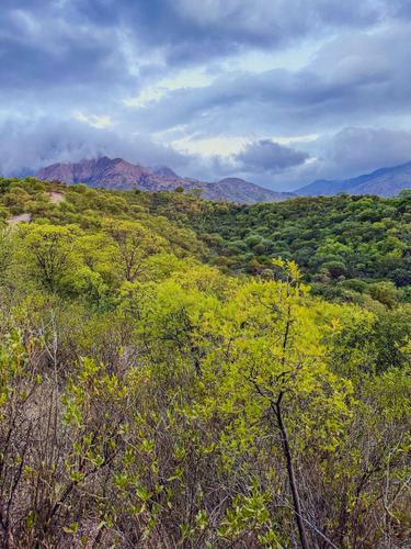 Tu Refugio Natural En Capilla Del Monte: Terrenos En Venta En Colinas De Santa Rita, La Banda