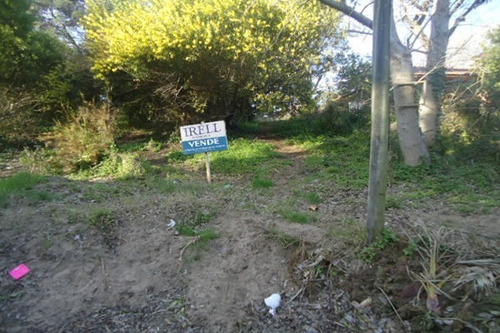 Imagen 5 de 5 de Excelentes Lotes Multifamiliares- 462mts C/u- Todos Los Servicios. Se Venden En Block O Individual , Oportunidad Nuevo Valor De Venta