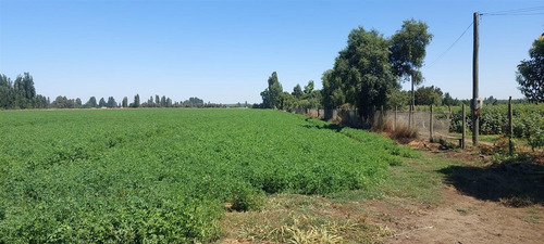 18 Hec Oportunidad Se Vende Terreno Agrícola Retiro Talca
