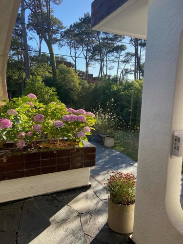 Imagen 4 de 28 de Casa Divina A Dos Cuadras Del Mar Punta Del Este