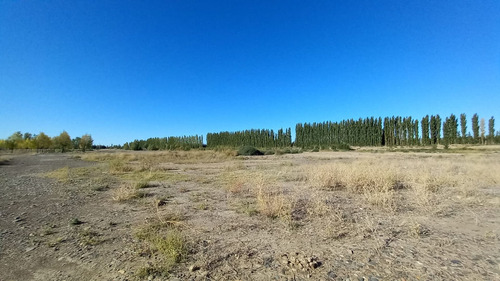 Imagen 6 de 30 de Chacra En Venta Con Casa Y Galpón Cervantes