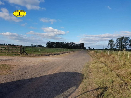 Imagen 2 de 7 de 2781cf- 8,5 Ha Sin Mejoras Para Explotación Loteo Inversores