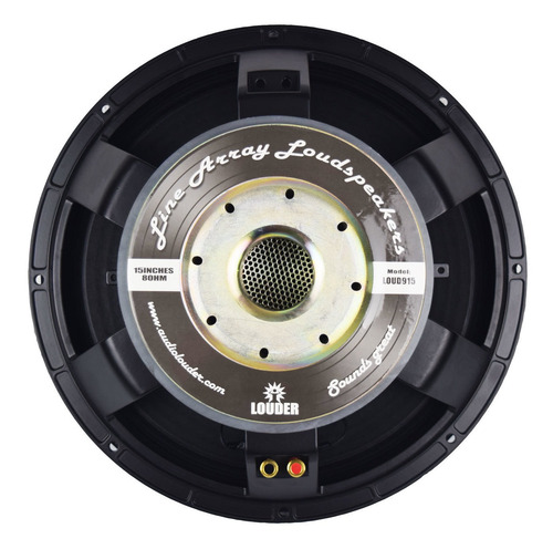 Bocina 15 Pulgadas P/ Armar Bafles Line Array 