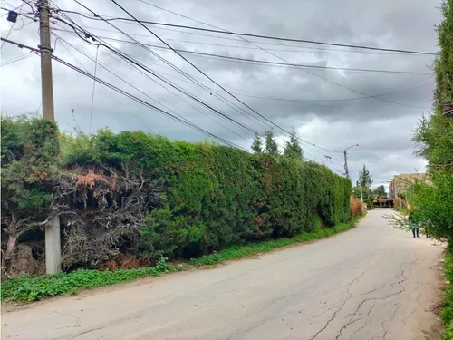 Lote Campestre Con Licencia En Venta - Vereda La Balsa - Chía