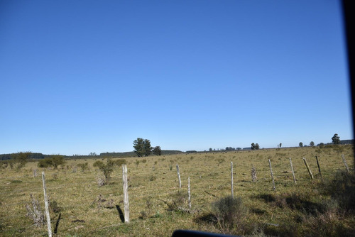 Imagen 16 de 22 de Campo Mixto En Venta Estación Yeruá