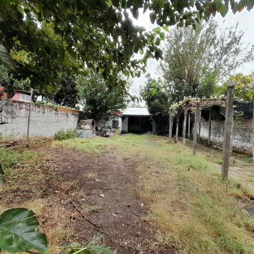 Haedo, Lote Alquiler 430m2 Con Casa Antigua Estado Regular Cerca De Autopista Y Vergara Se Alquila Con Recibo O Monotributo