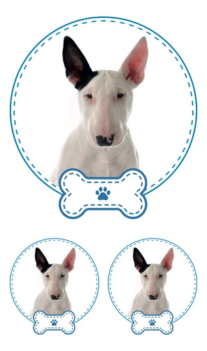 Bull Terrier Sticker 3 Pza Niño Impresion Alta Calidad