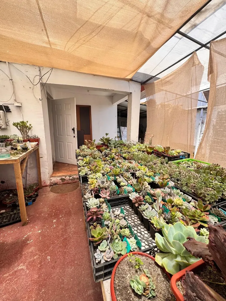 Imagen 5 de 13 de Maipú: Casa 3d/1b + Unidades De Arriendo, Alta Demanda
